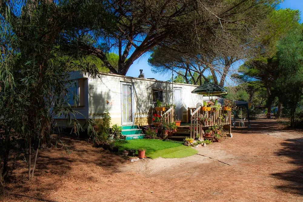 Campeggio Camping Village S'Ena Arrubia Arborea