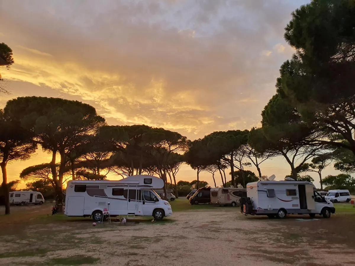 Campeggio Camping Village S'Ena Arrubia Arborea