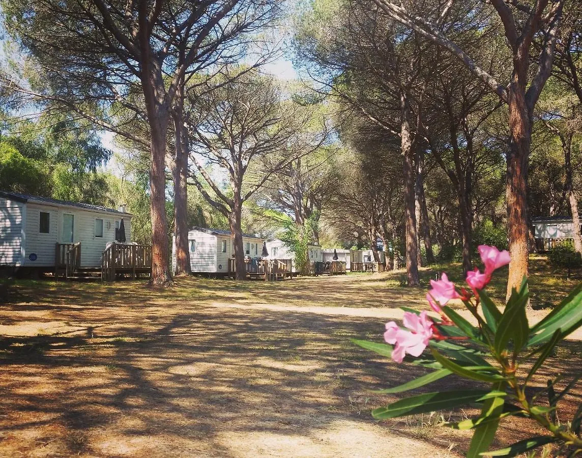 Camping Village S'Ena Arrubia Arborea Campeggio