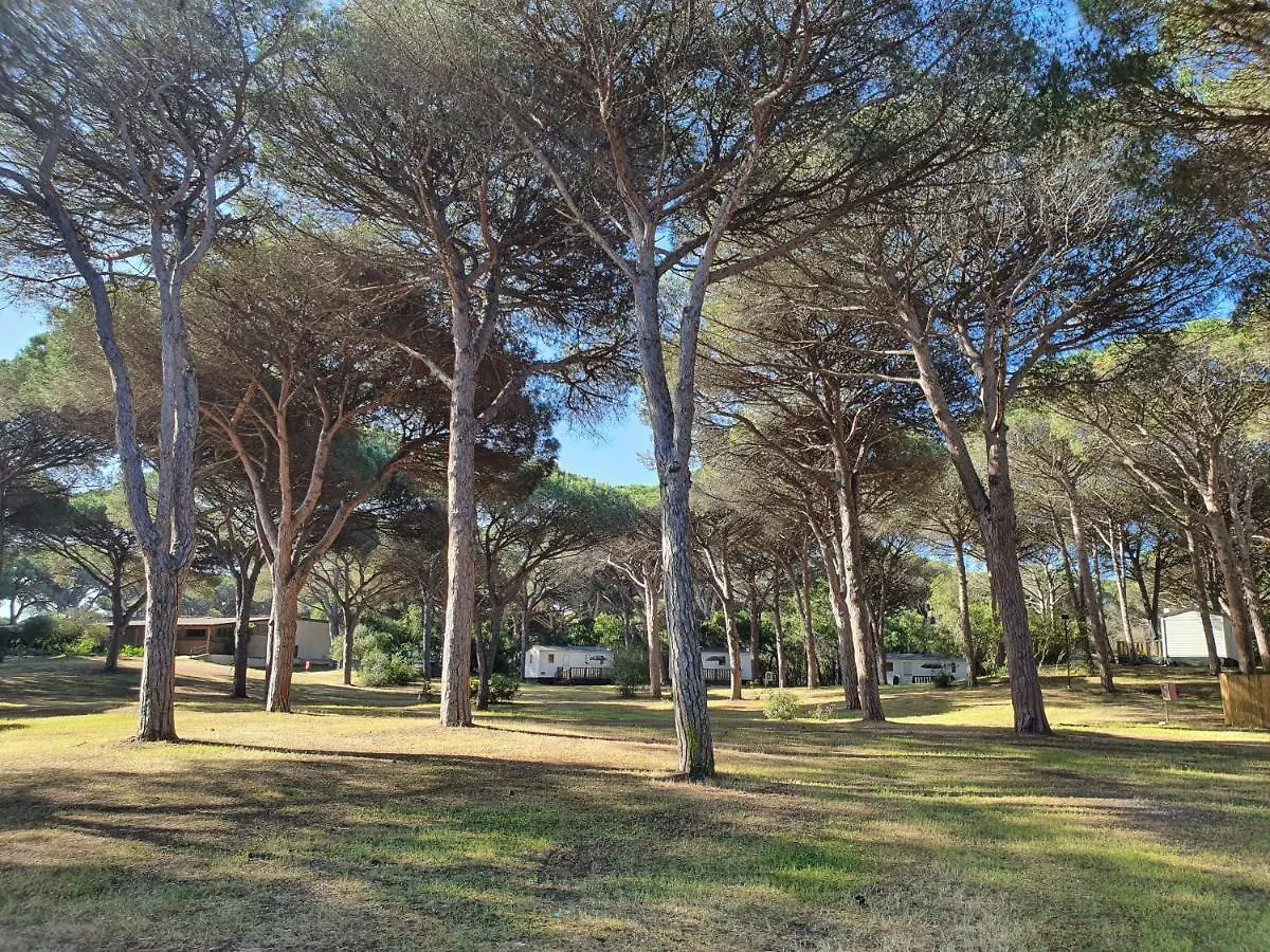 Camping Village S'Ena Arrubia Arborea
