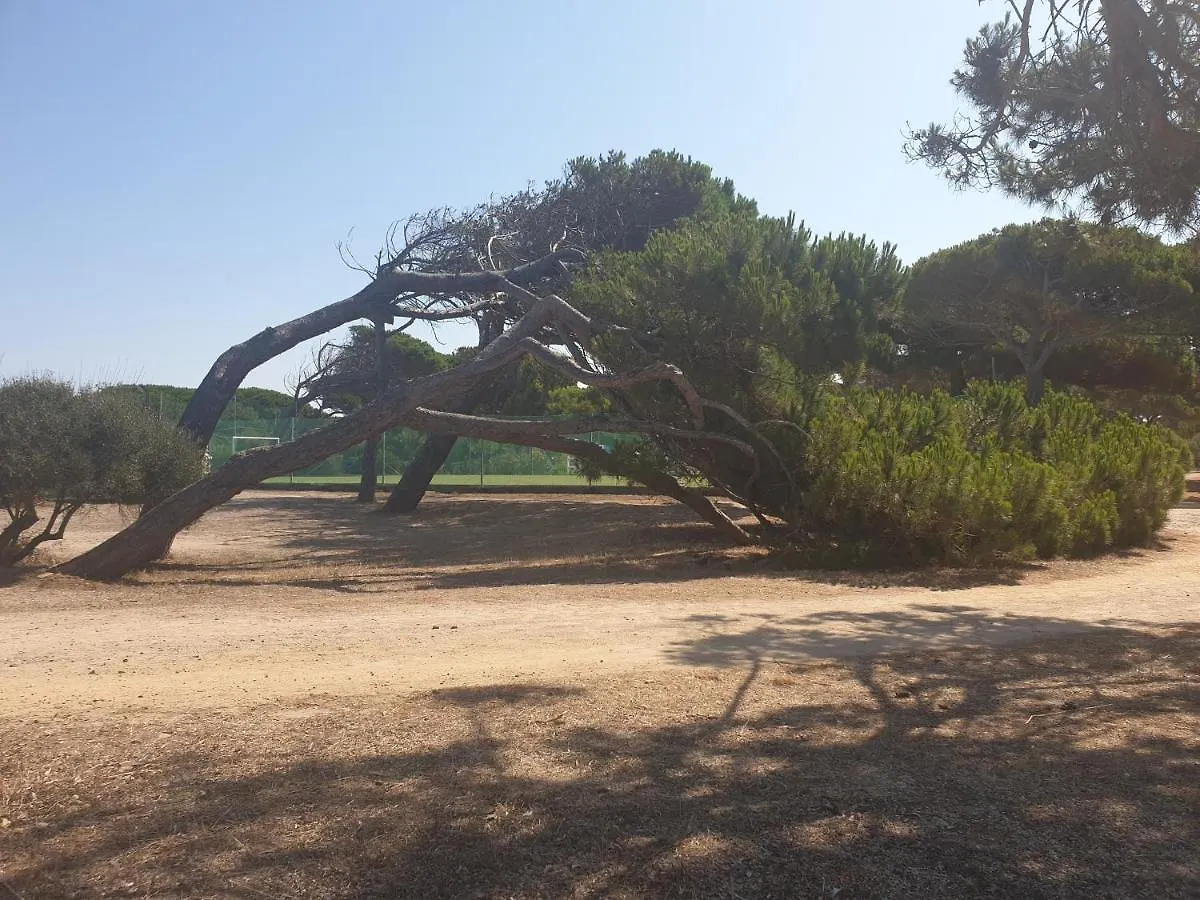 Campeggio Camping Village S'Ena Arrubia Arborea