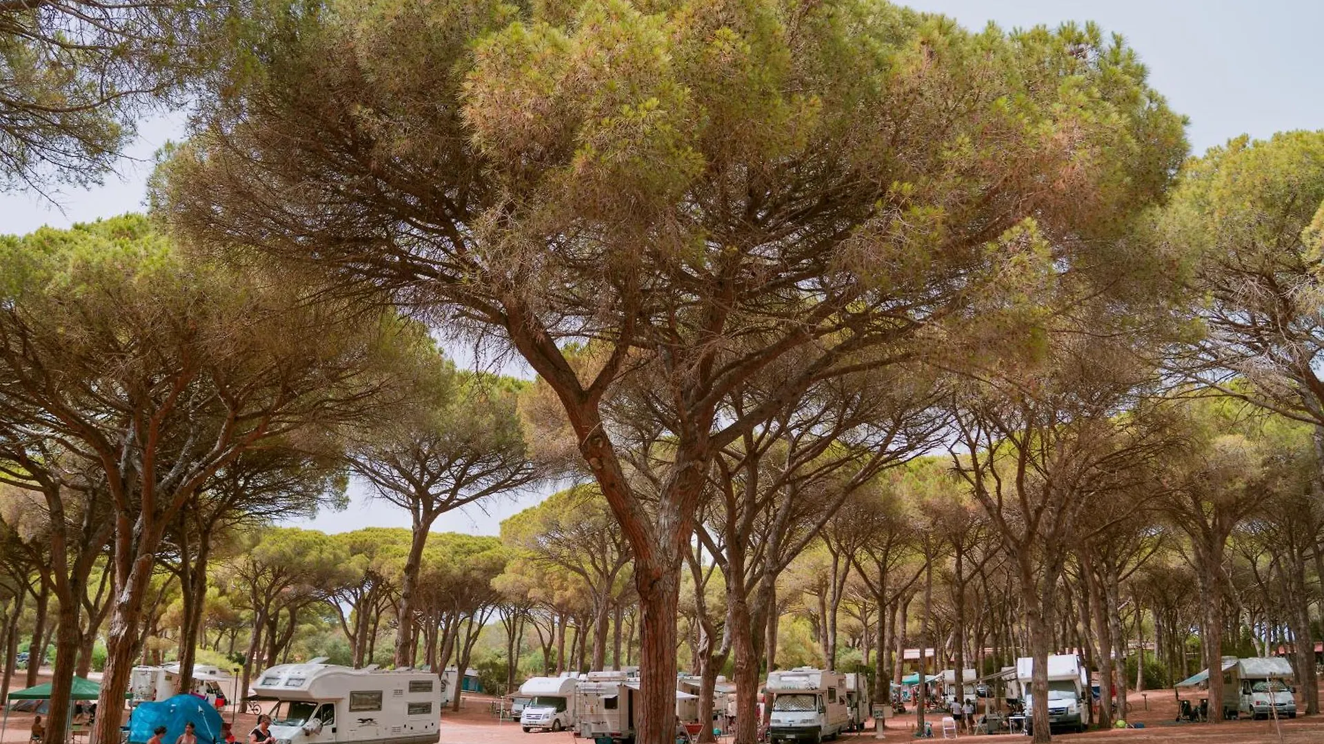 Camping Village S'Ena Arrubia Arborea