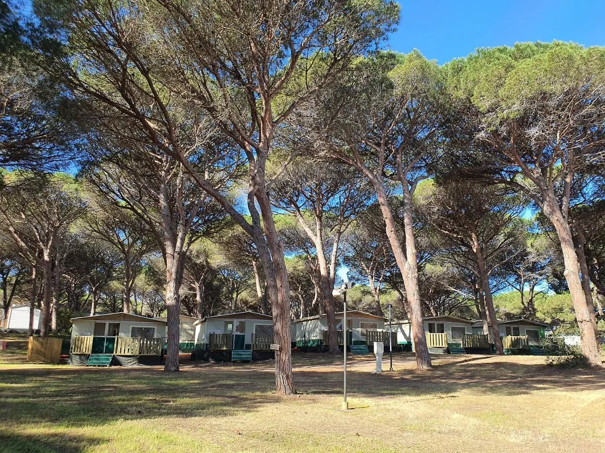 Campsite Camping Village S'Ena Arrubia Arborea