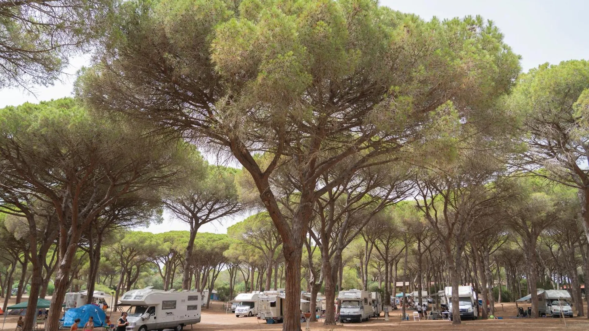 Camping Village S'Ena Arrubia Arborea 0*,
